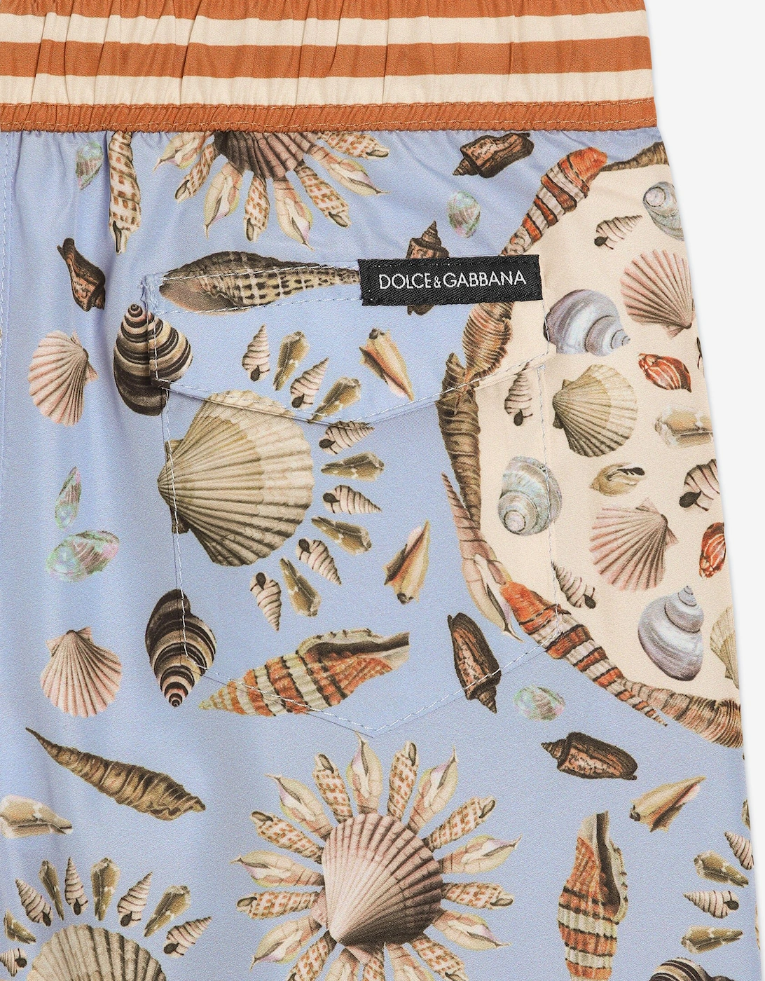 Baby Boys Shell Print Swim Shorts in Blue
