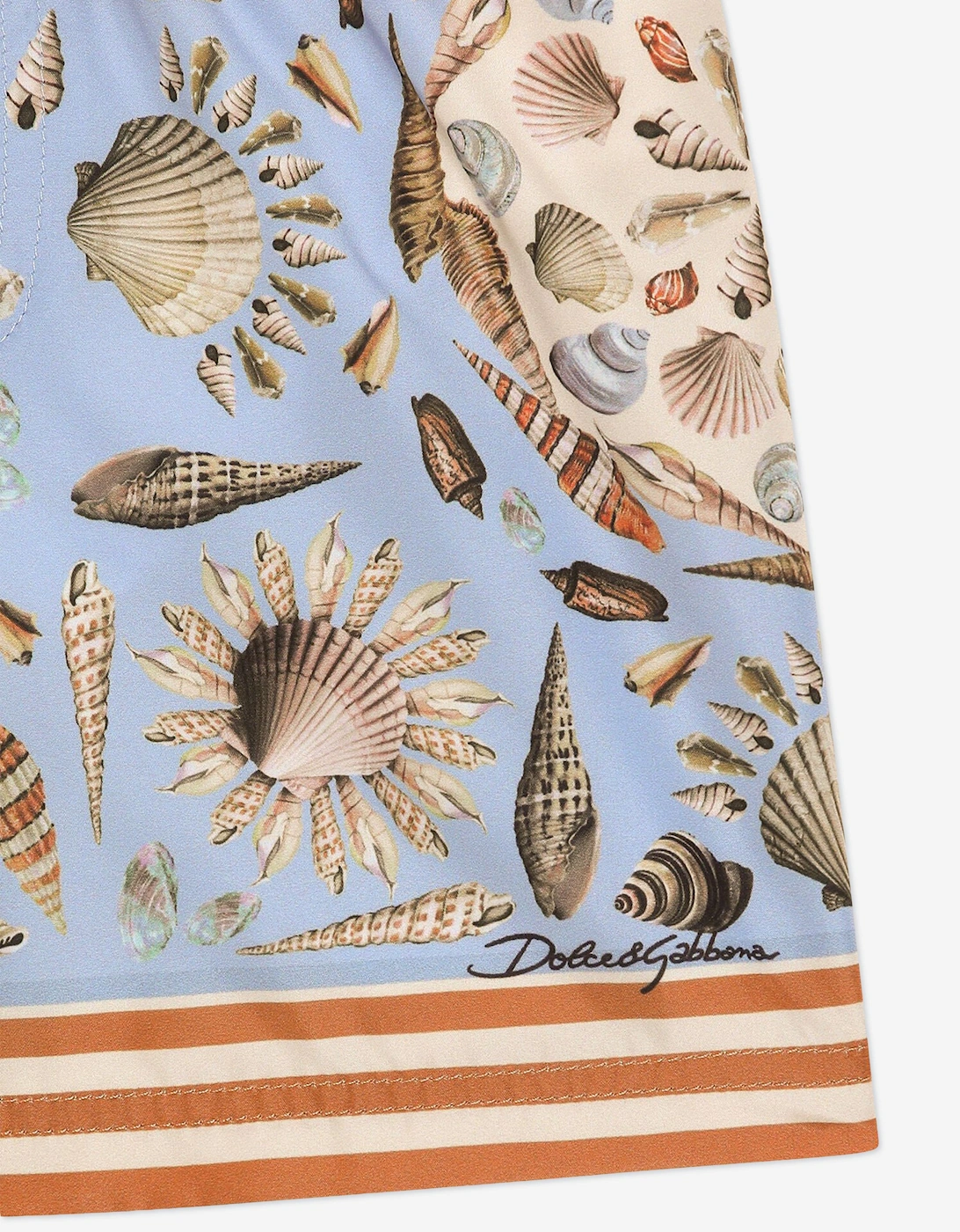 Baby Boys Shell Print Swim Shorts in Blue
