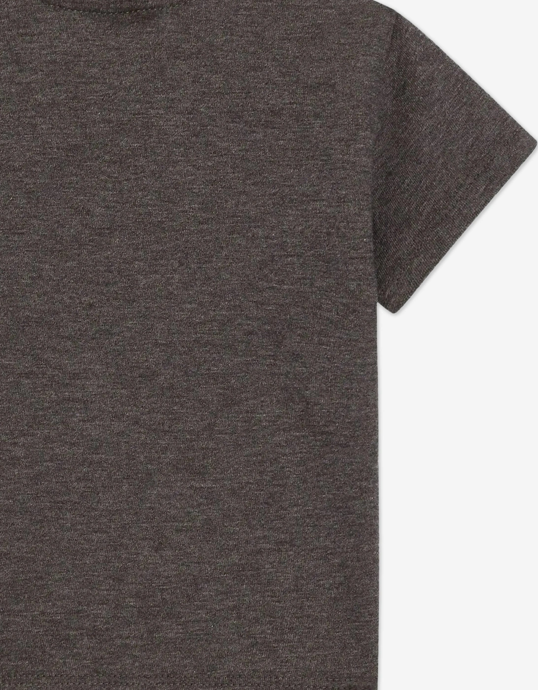 Baby Boys Embroidered Logo T-Shirt in Grey