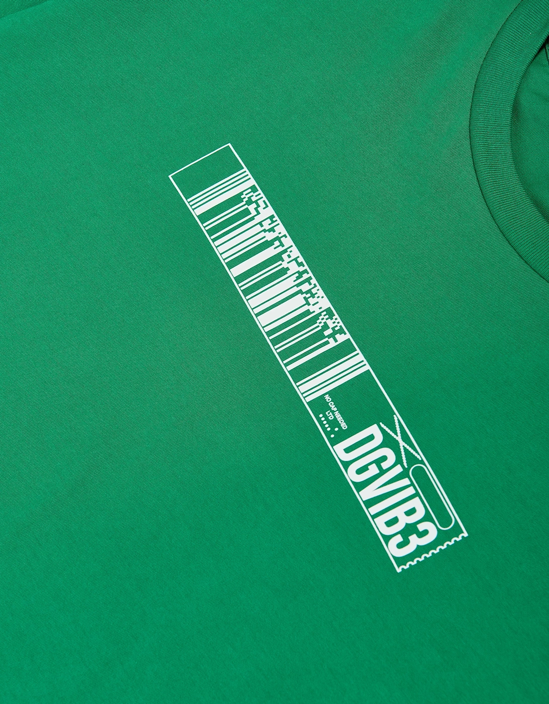 Boys DG Vibe T-Shirt in Green