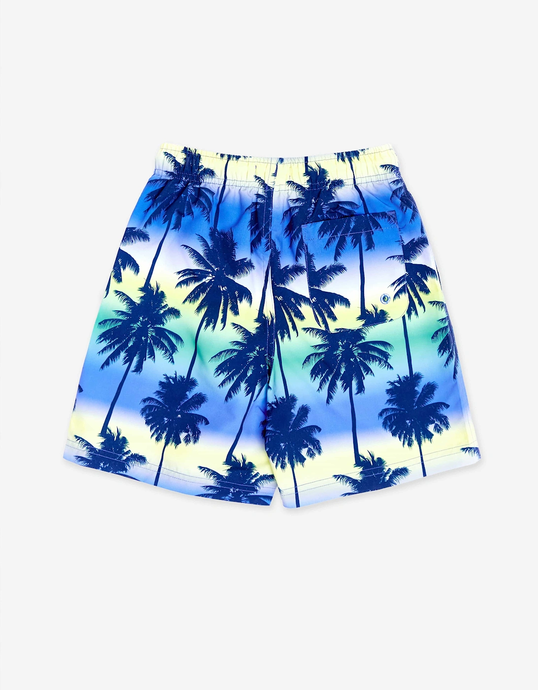Boys Palm Tree Beach Shorts in Blue (UPF50+)