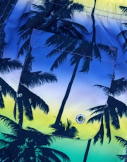 Thumbnail 4 of 4