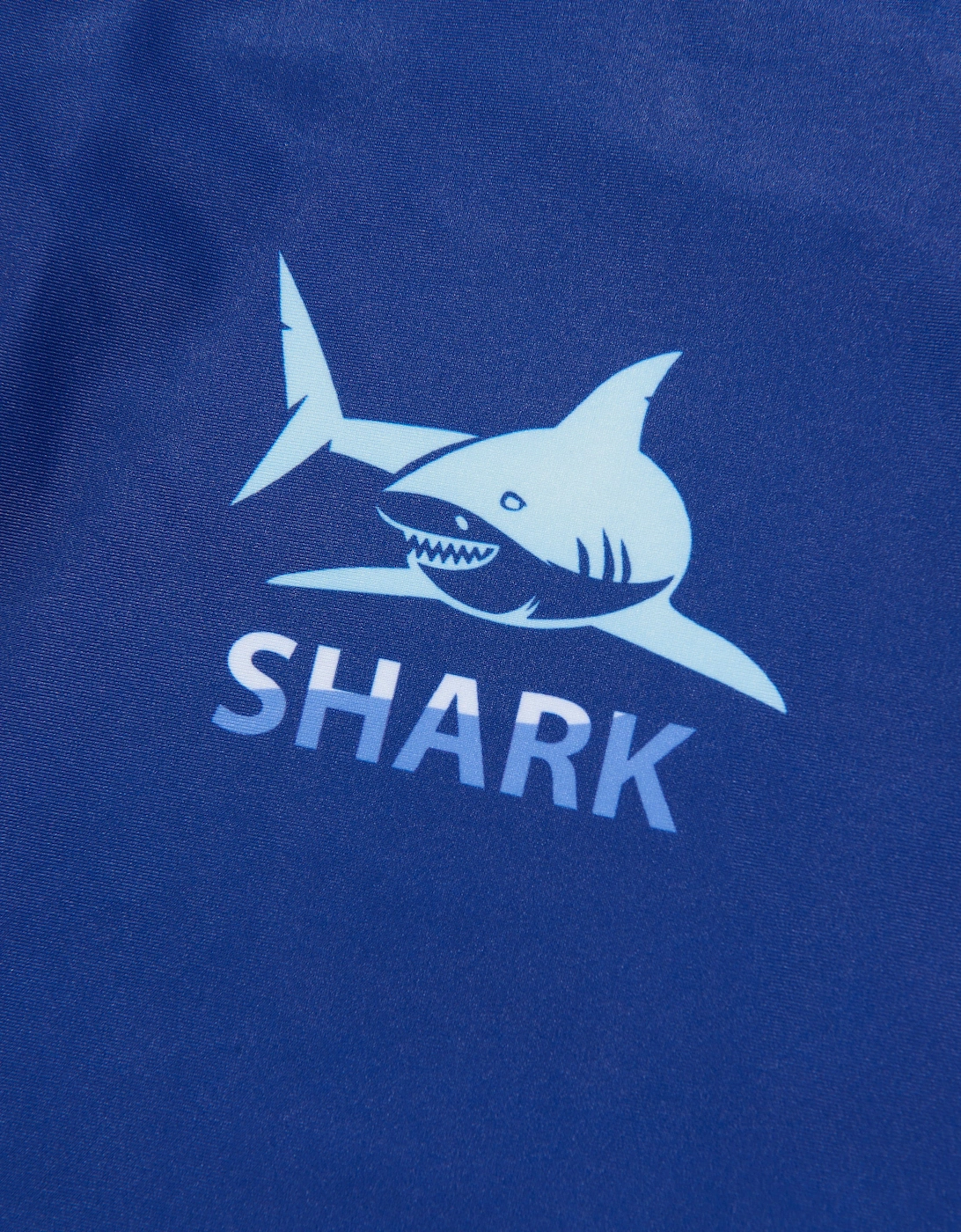 Boys Sun Protective Rash Guard (UPF50+) in Blue