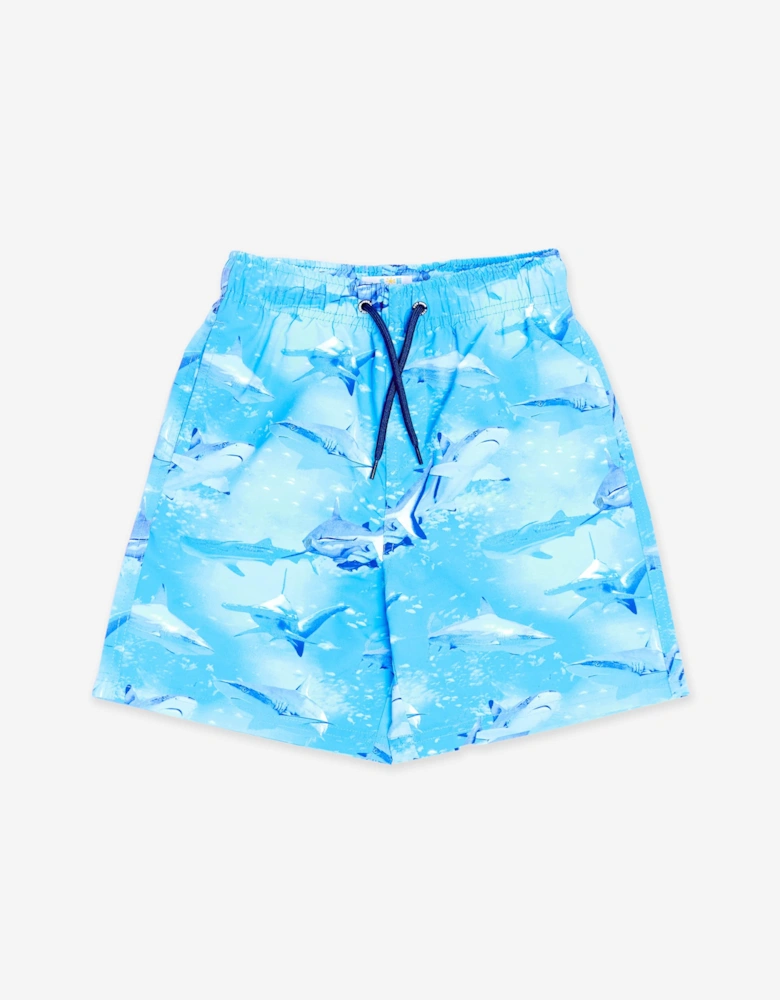Boys Shark Beach Shorts in Blue (UPF50+)