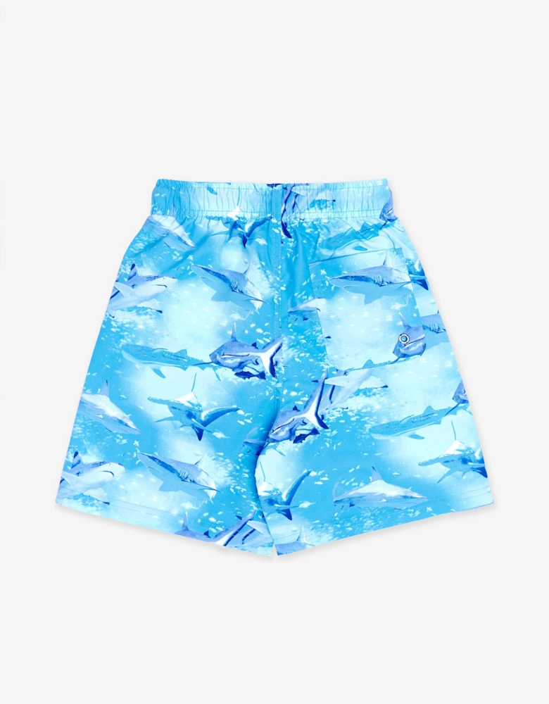 Boys Shark Beach Shorts in Blue (UPF50+)