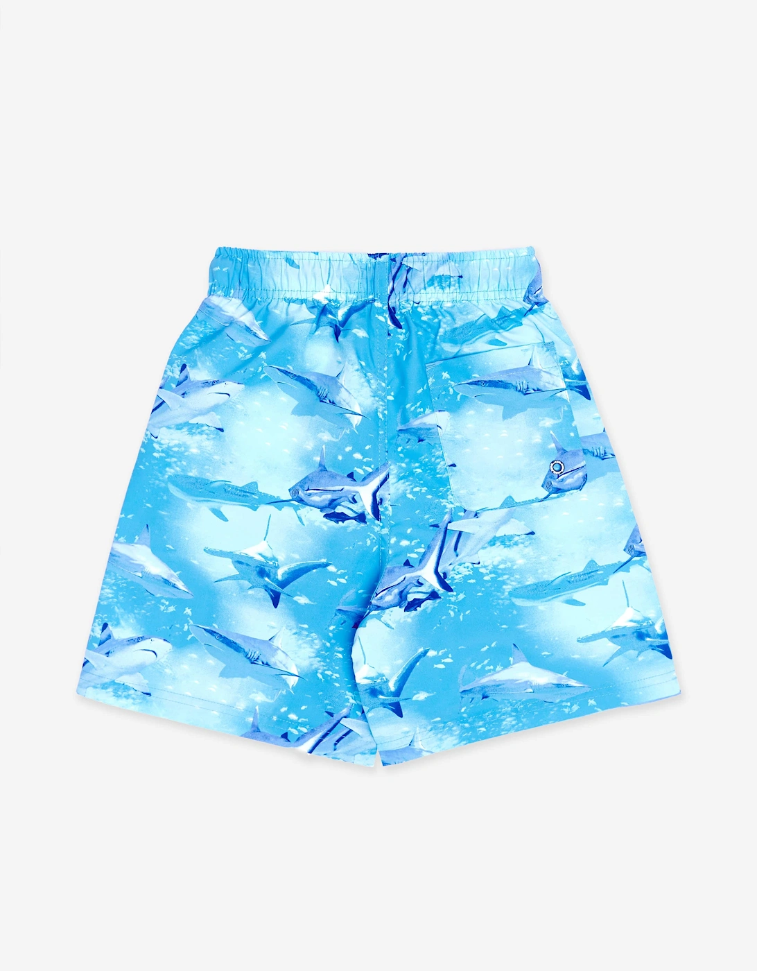 Boys Shark Beach Shorts in Blue (UPF50+)
