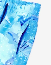 Thumbnail 3 of 4