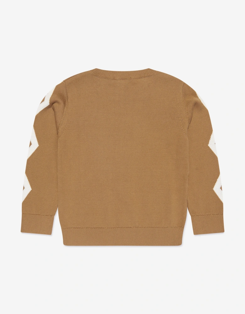Boys Knitted Jumper in Brown