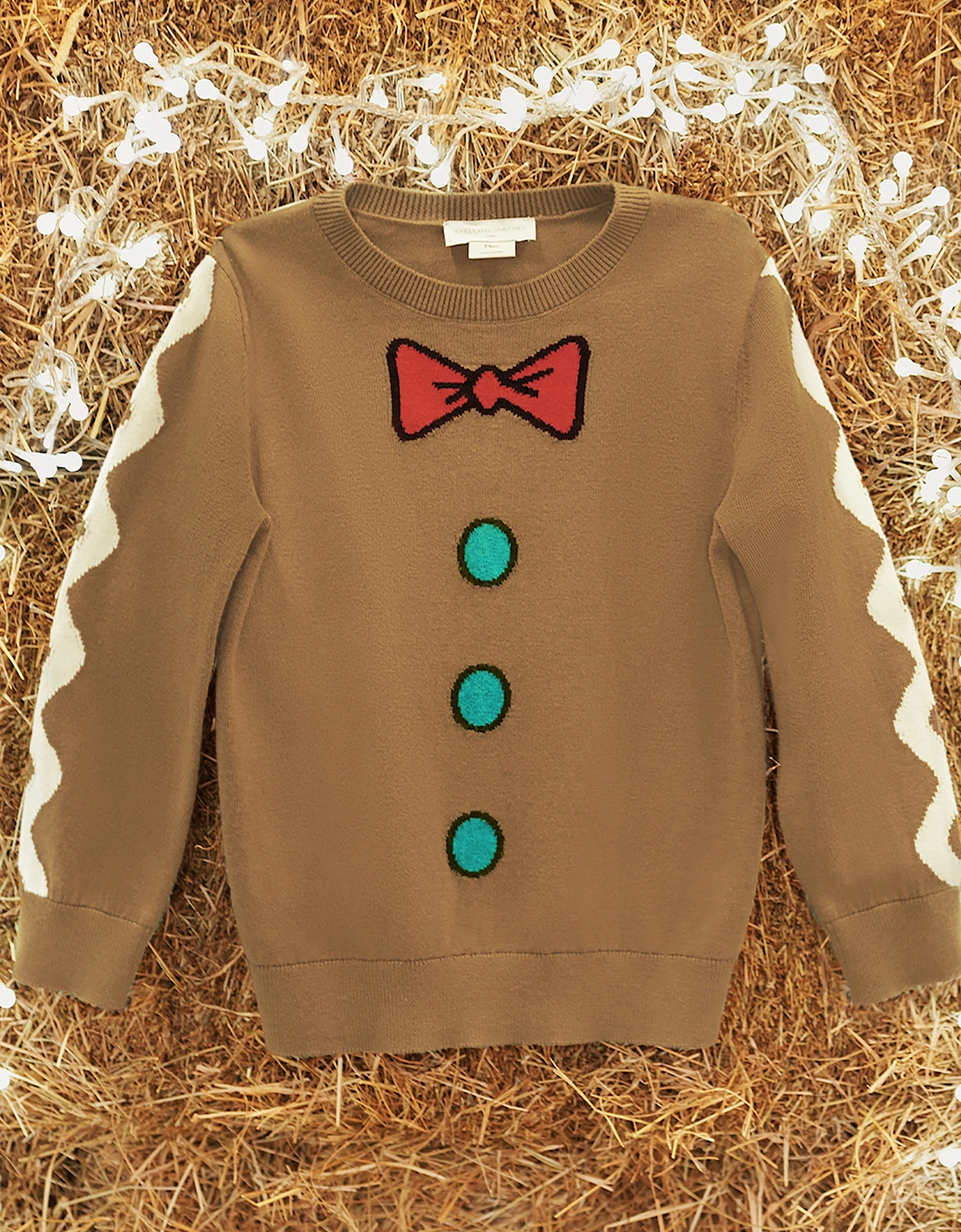 Boys Knitted Jumper in Brown