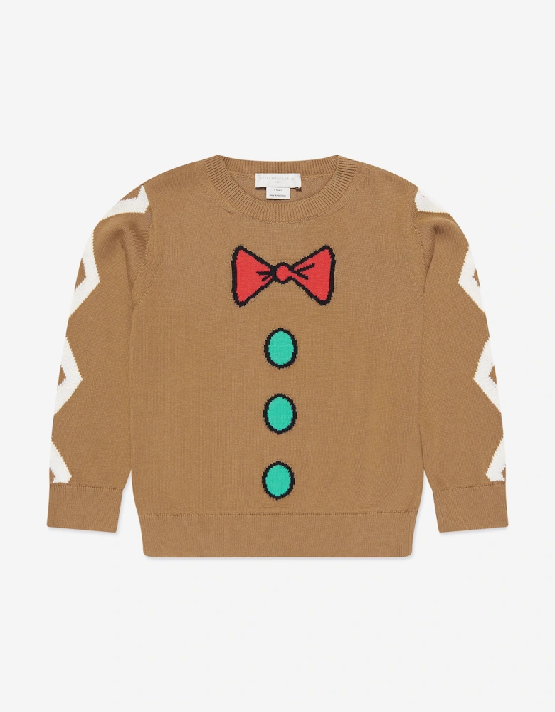Boys Knitted Jumper in Brown