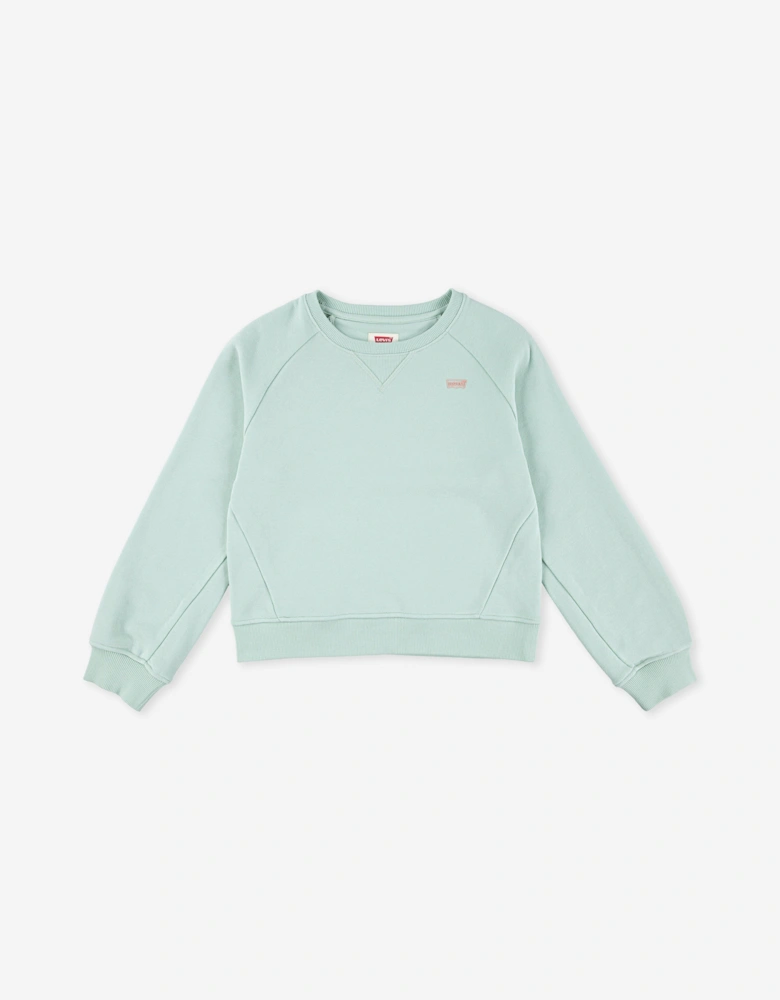 Girls Batwing Sweatshirt in Green