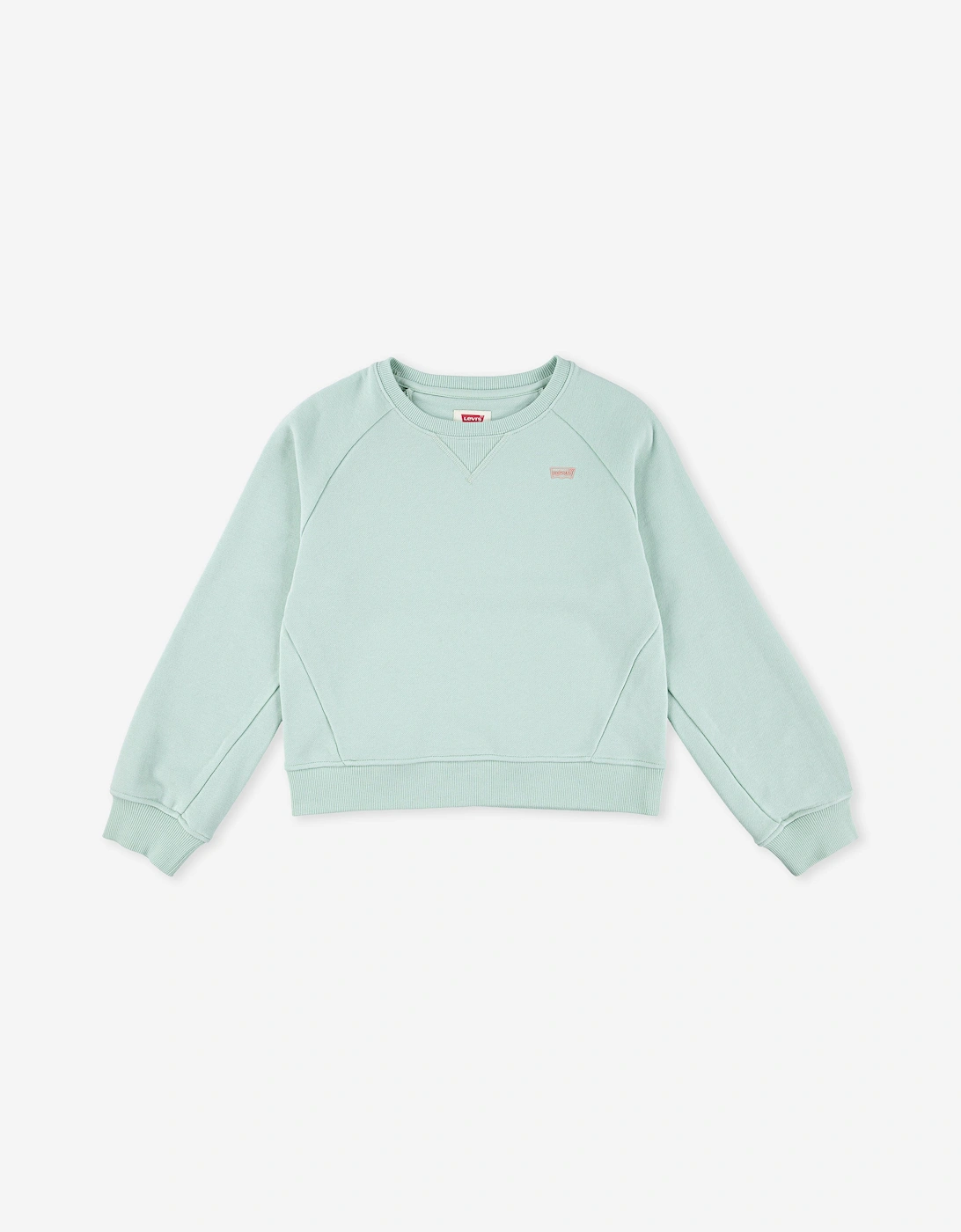 Girls Batwing Sweatshirt in Green, 5 of 4