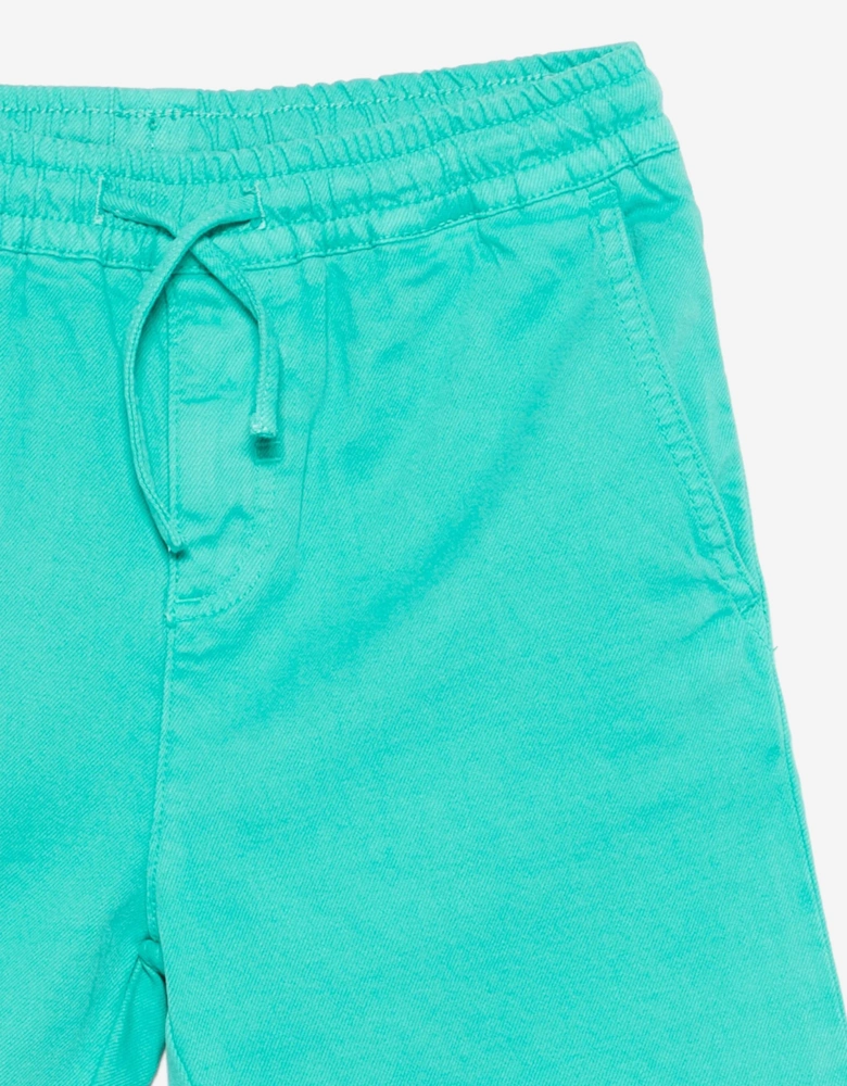 Boys Logo Shorts in Green