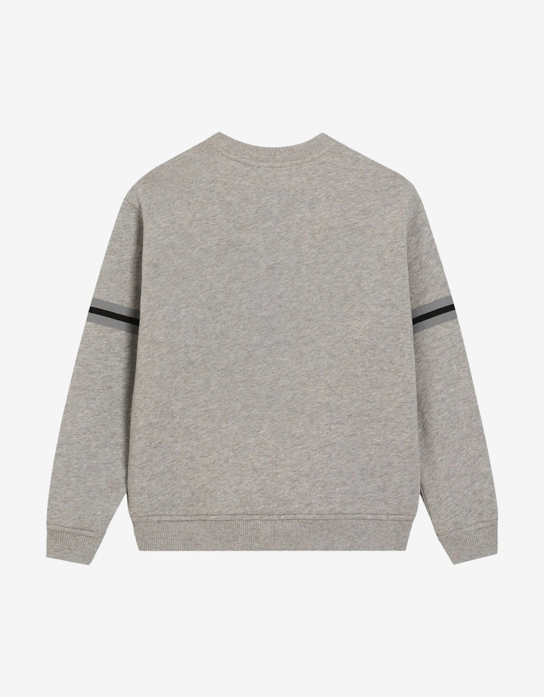 Boys Logo Sweatshirt in Grey