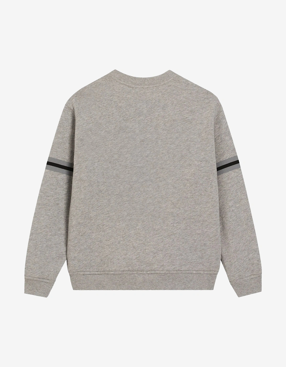 Boys Logo Sweatshirt in Grey
