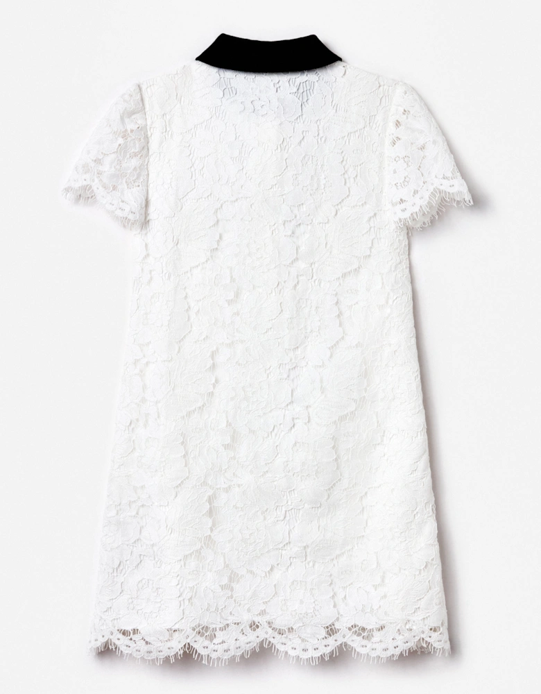 Girls Lace Contrast Collar Dress in White