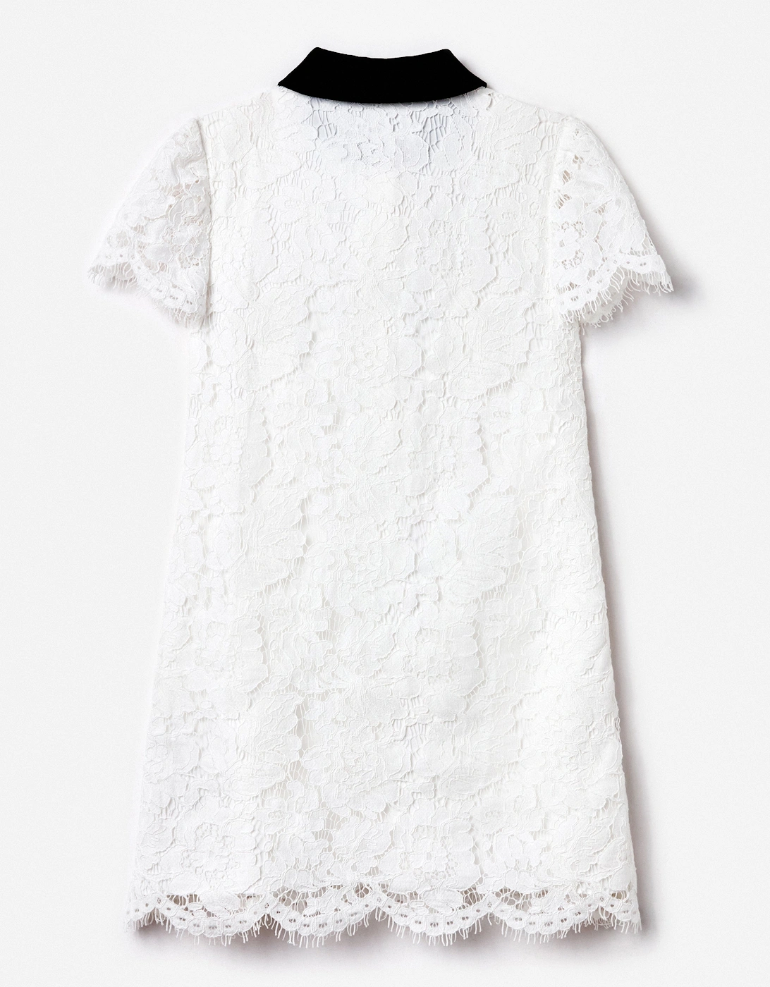 Girls Lace Contrast Collar Dress in White