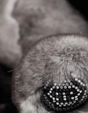 Thumbnail 4 of 4