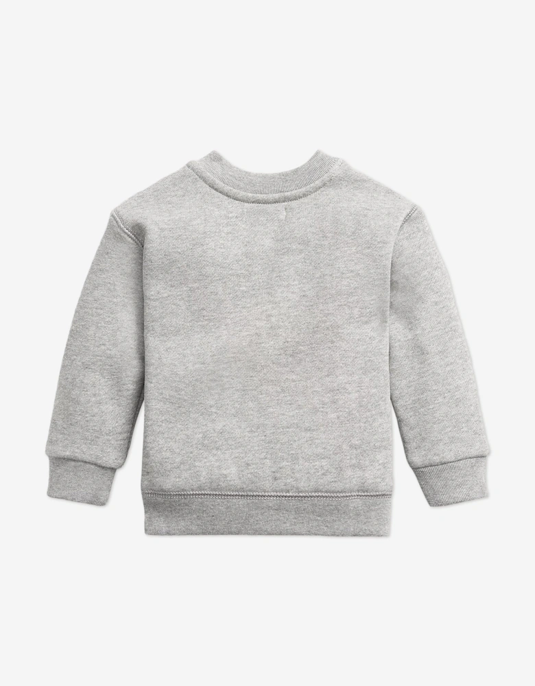 Baby Boys Logo Sweatshirt in Grey