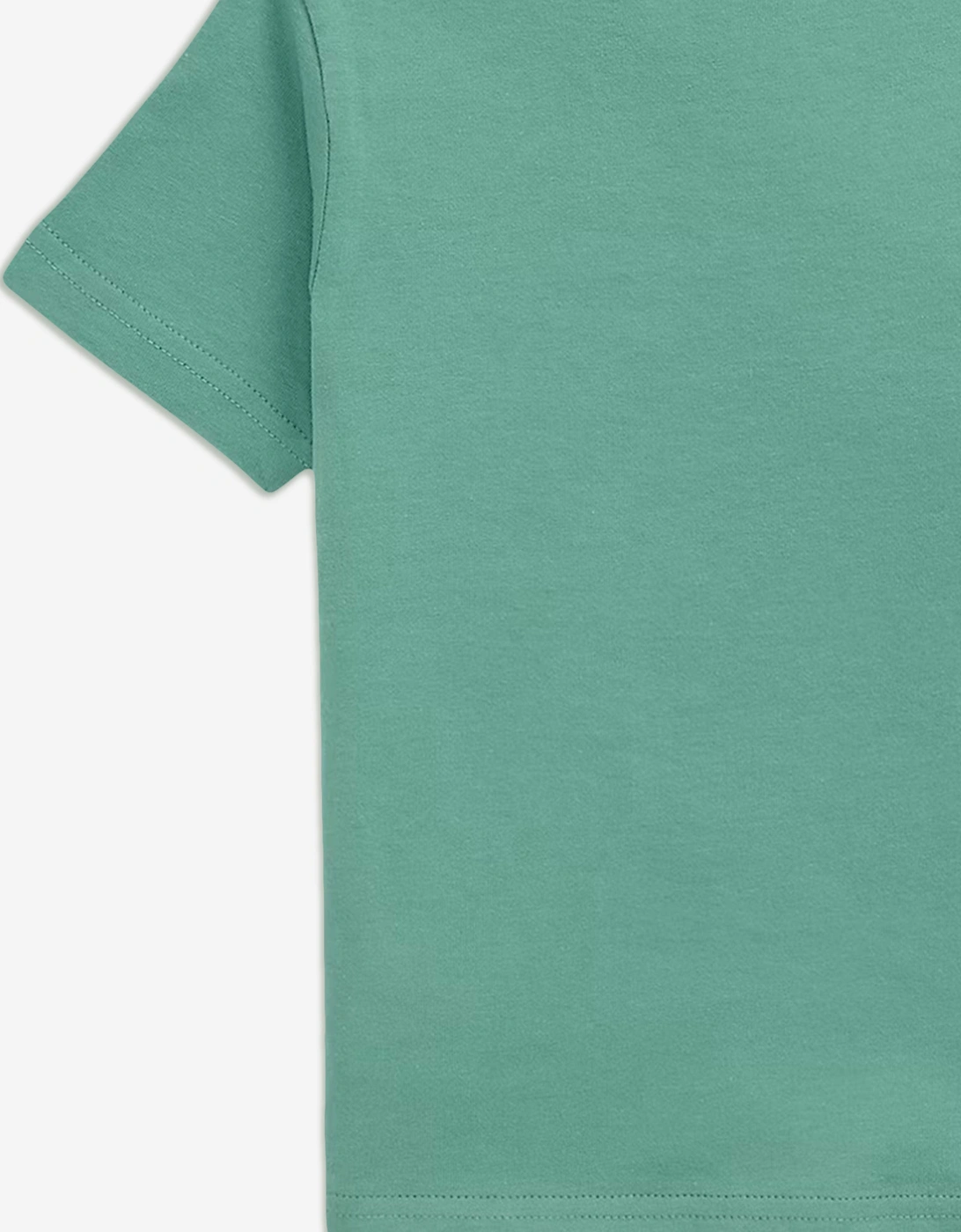 Boys Polo Bear T-Shirt in Green
