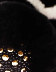 Thumbnail 5 of 5