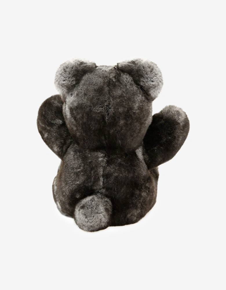 Unisex Teddy Bear