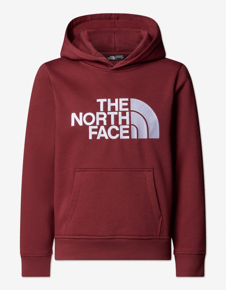 Kids Drew Peak Hoodie in Red