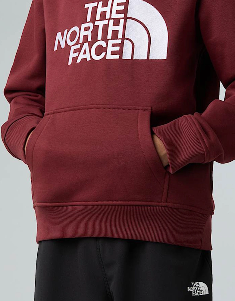 Kids Drew Peak Hoodie in Red