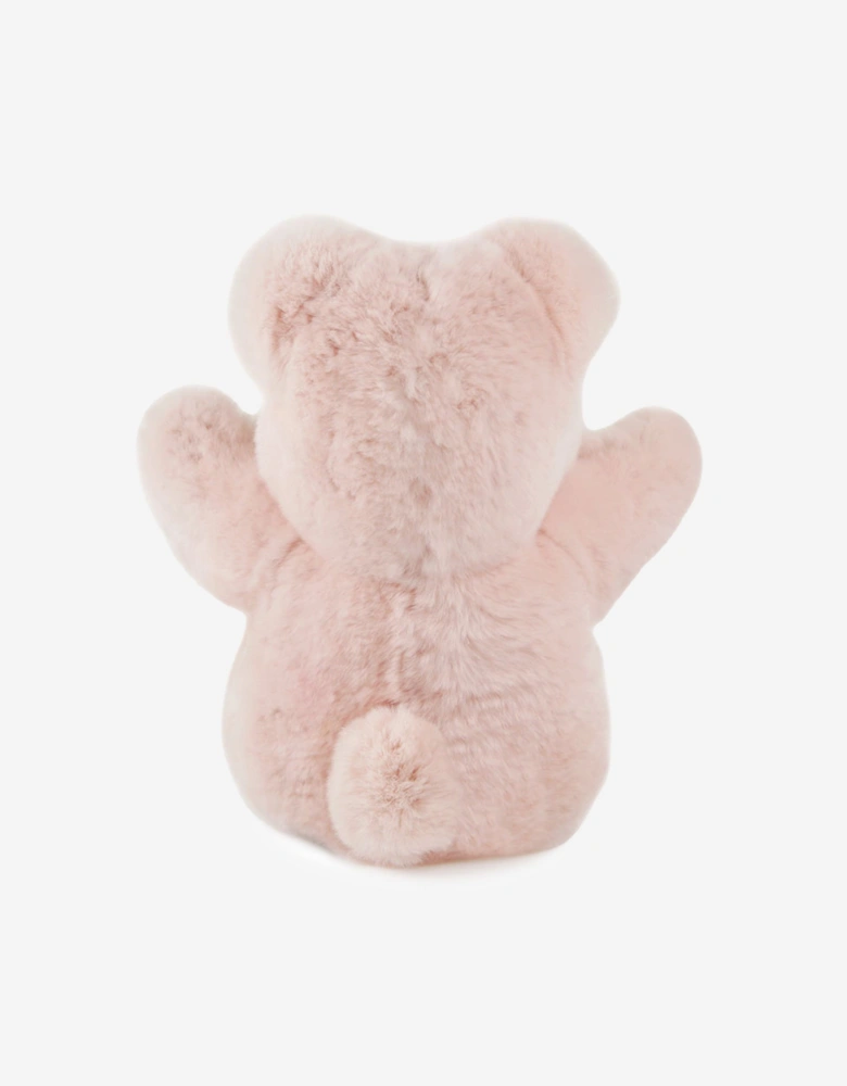 Girls Teddy Bear