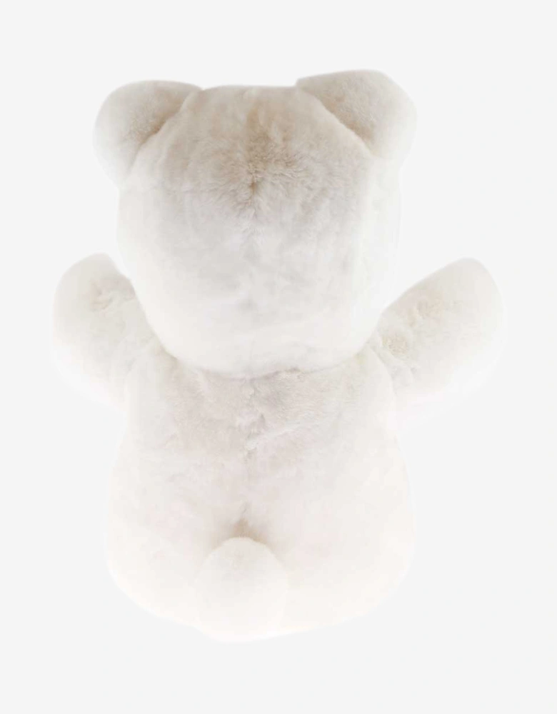 Unisex Teddy Bear