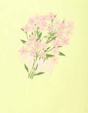 Thumbnail 4 of 4