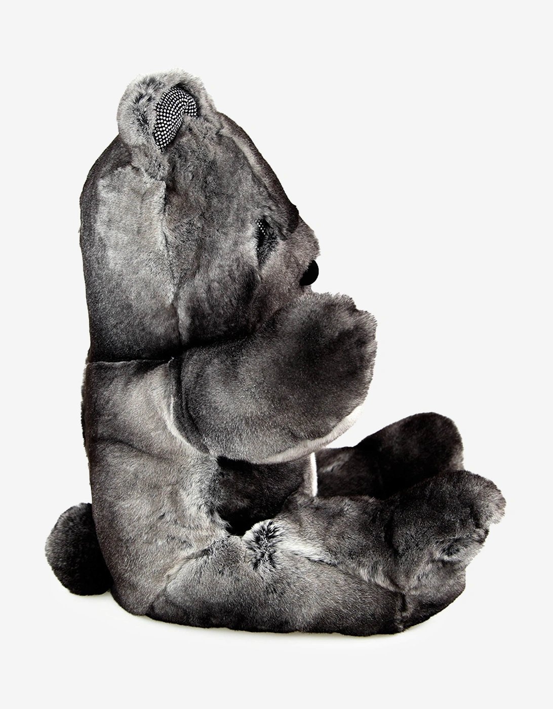 Unisex Teddy Bear