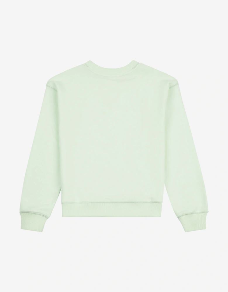 Girls French Terry Small Logo Sweatshirt in Green