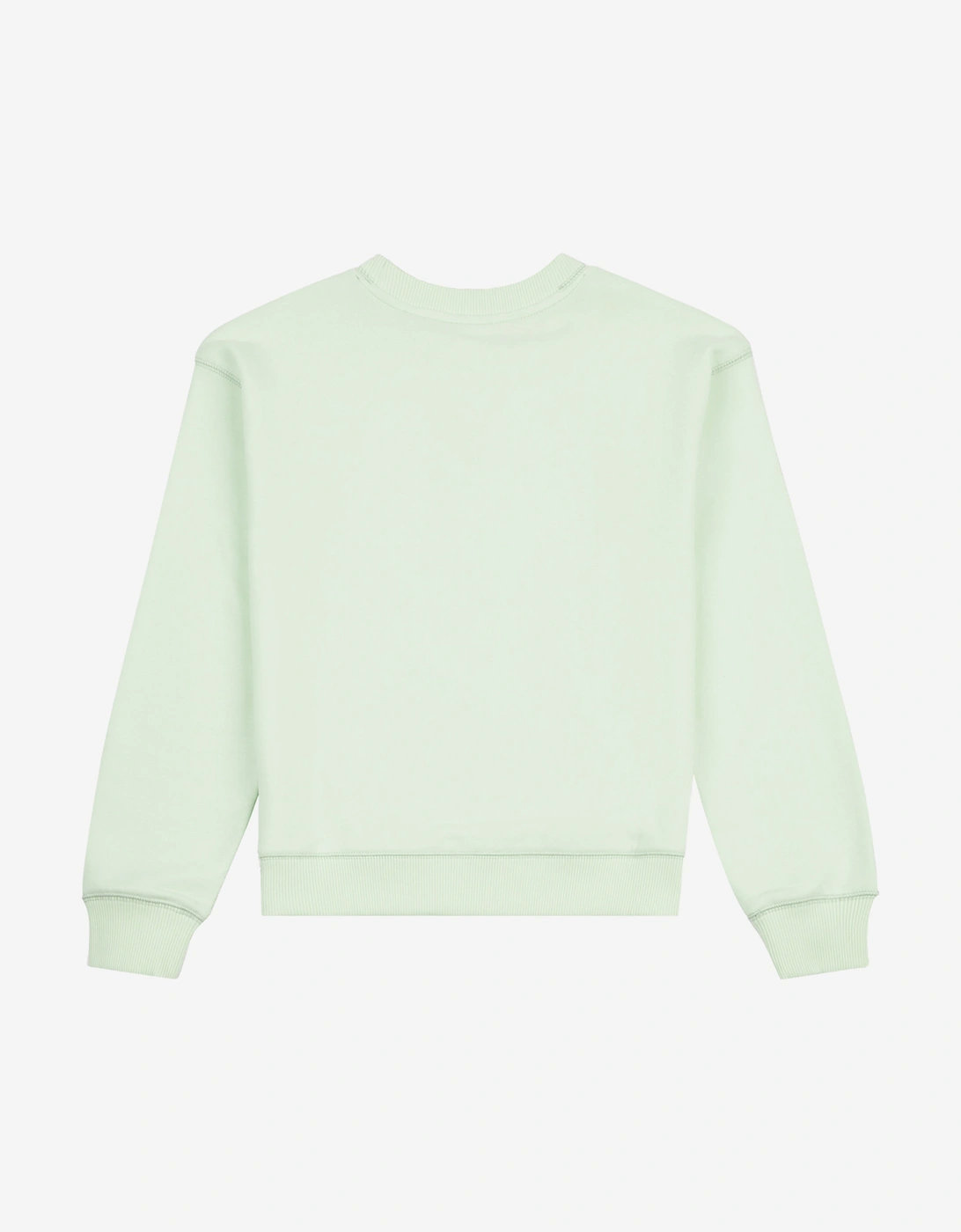 Girls French Terry Small Logo Sweatshirt in Green