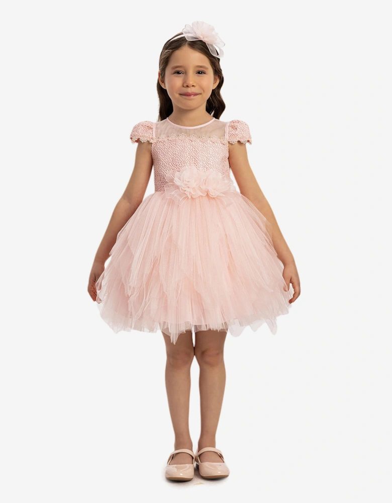 Baby Girls Dress with Tulle Skirt in Pink