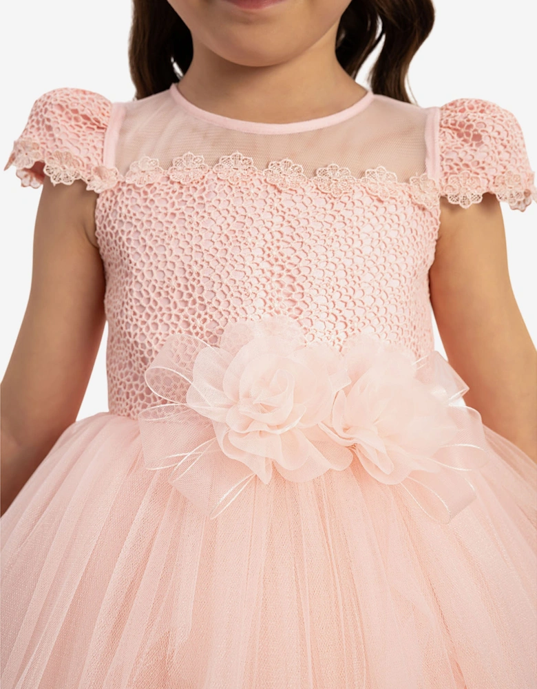 Baby Girls Dress with Tulle Skirt in Pink
