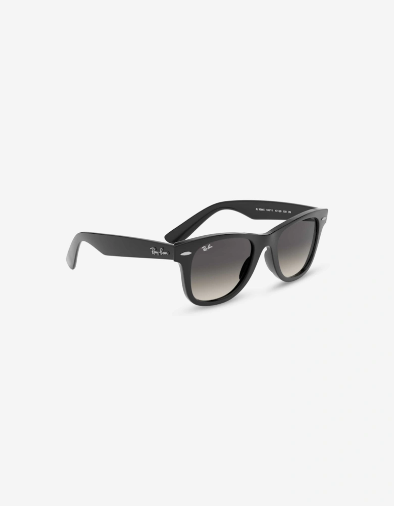Kids New Junior Wayfarer Sunglasses in Black