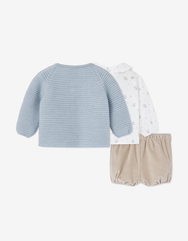 Baby Boys 3 Piece Short Set in Blue