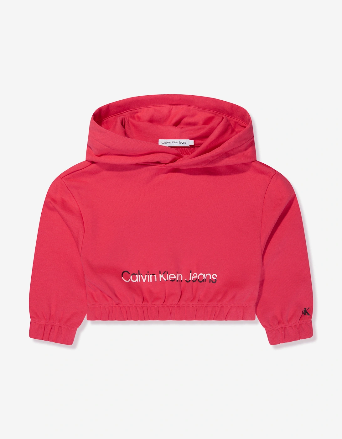 Girls Hero Logo Hoodie in Teaberry, 5 of 4