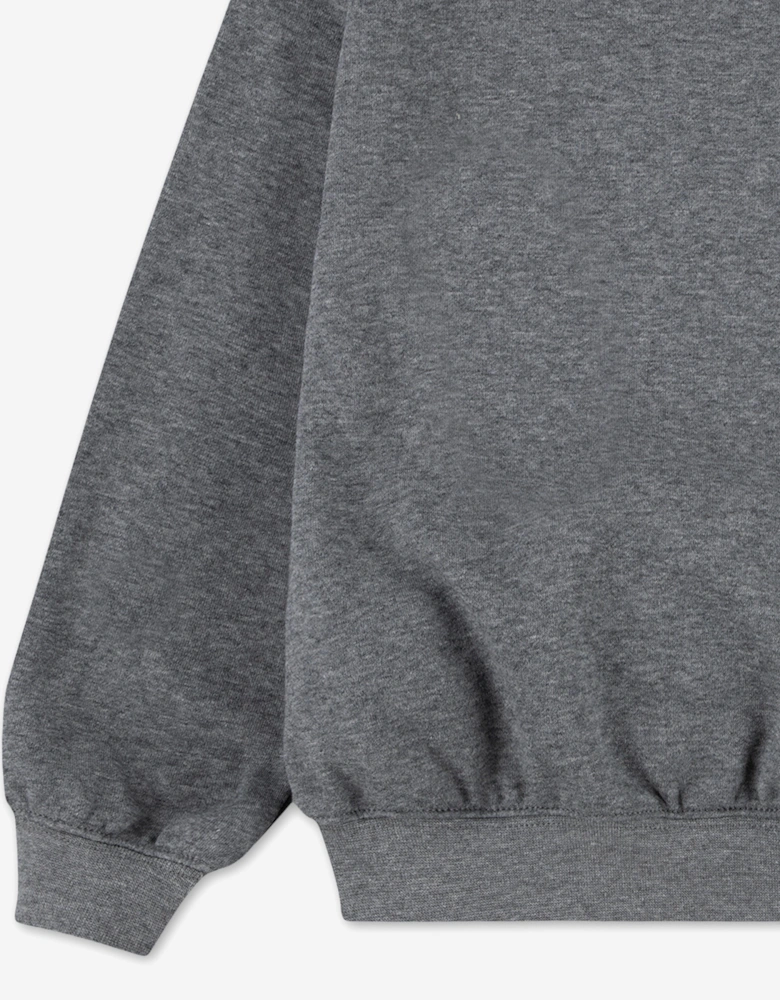 Kids MJ Brooklyn Sweatshirt in Grey