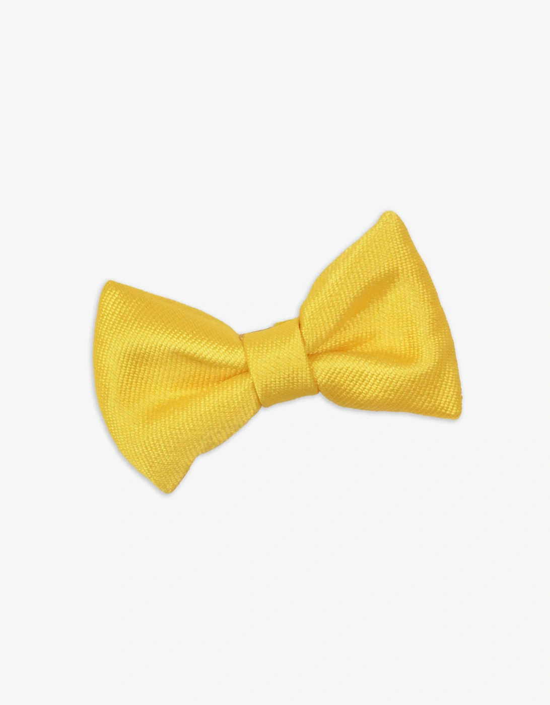 Girls Bow Hairclip Set in Gold