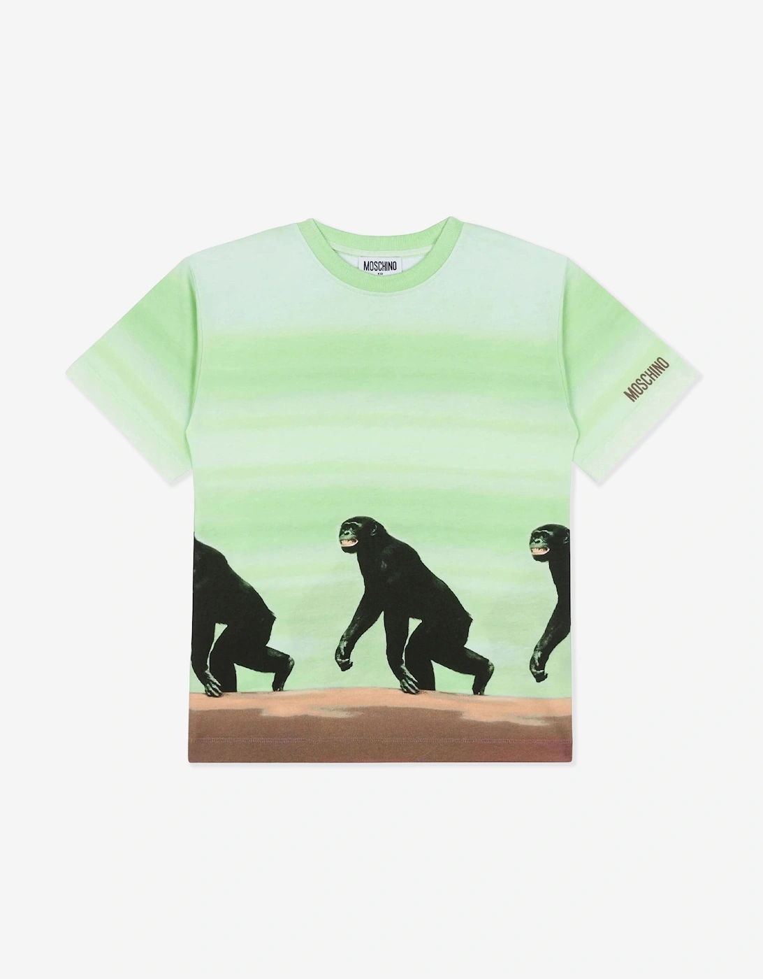 Boys Striped Monkey Print T-Shirt in Green, 5 of 4