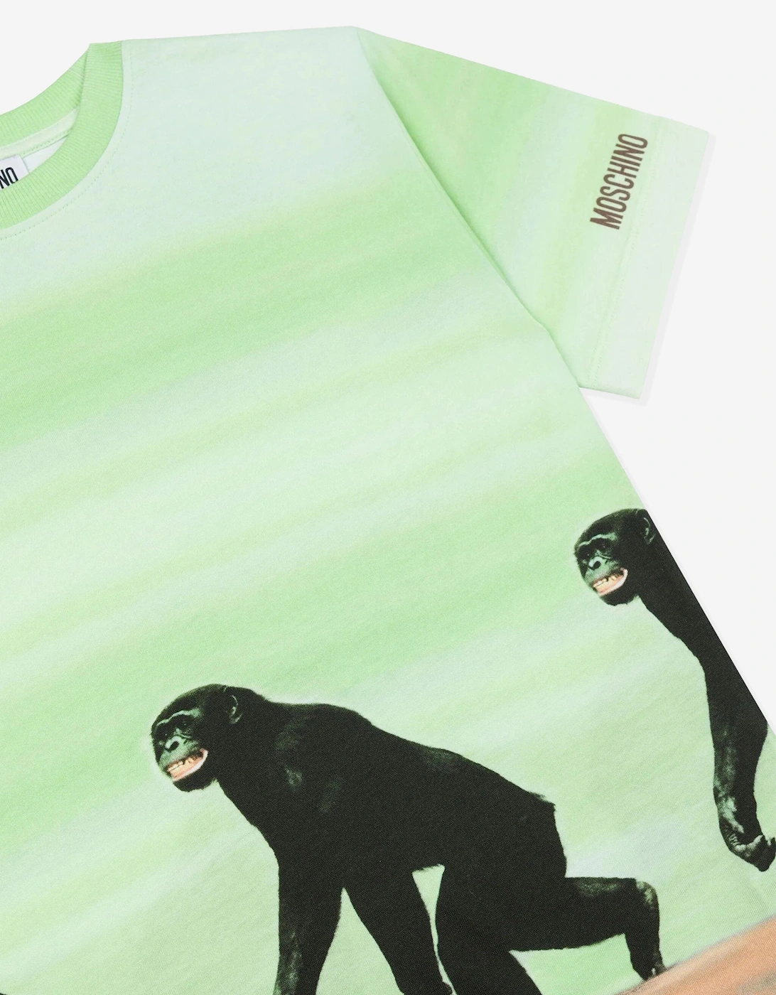 Boys Striped Monkey Print T-Shirt in Green