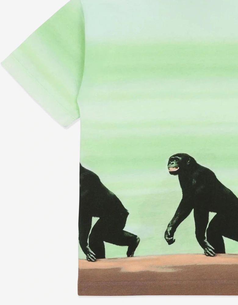 Boys Striped Monkey Print T-Shirt in Green