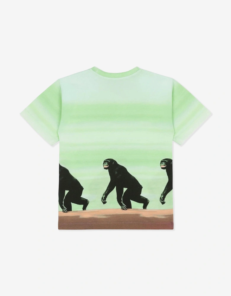 Boys Striped Monkey Print T-Shirt in Green
