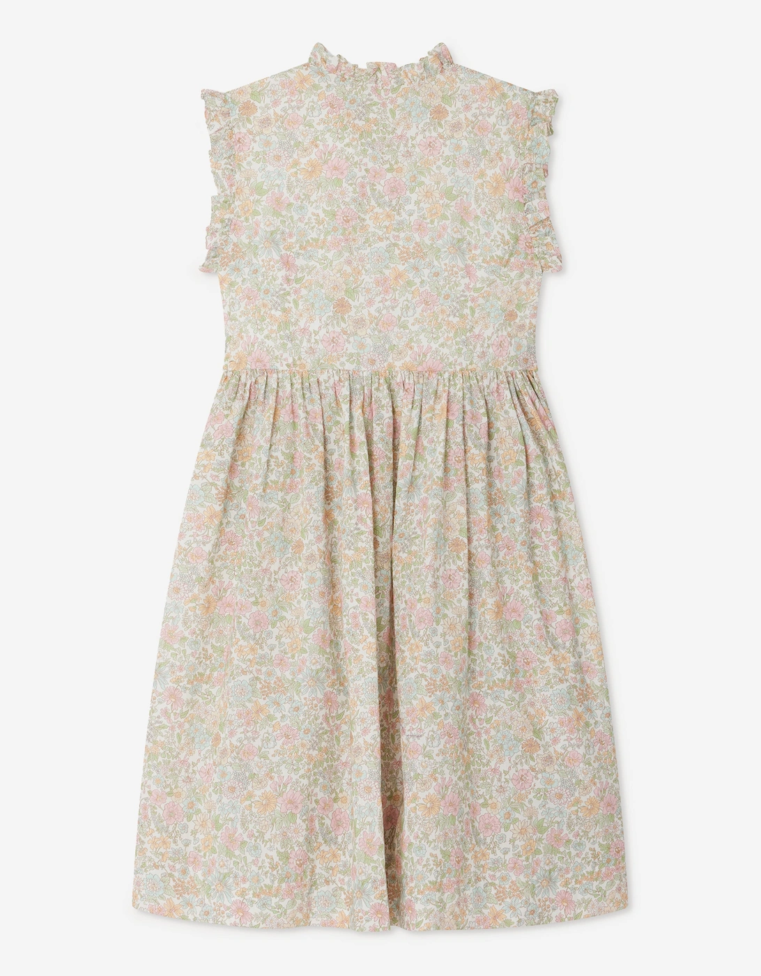 Girls Floral Fabiola Dress in Multicolour