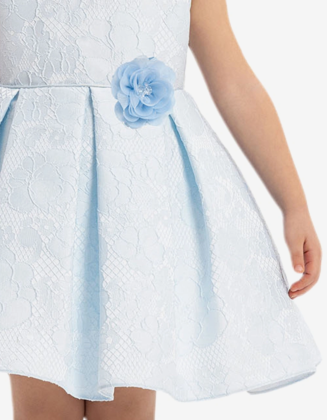 Baby Girls Flower Dress in Blue