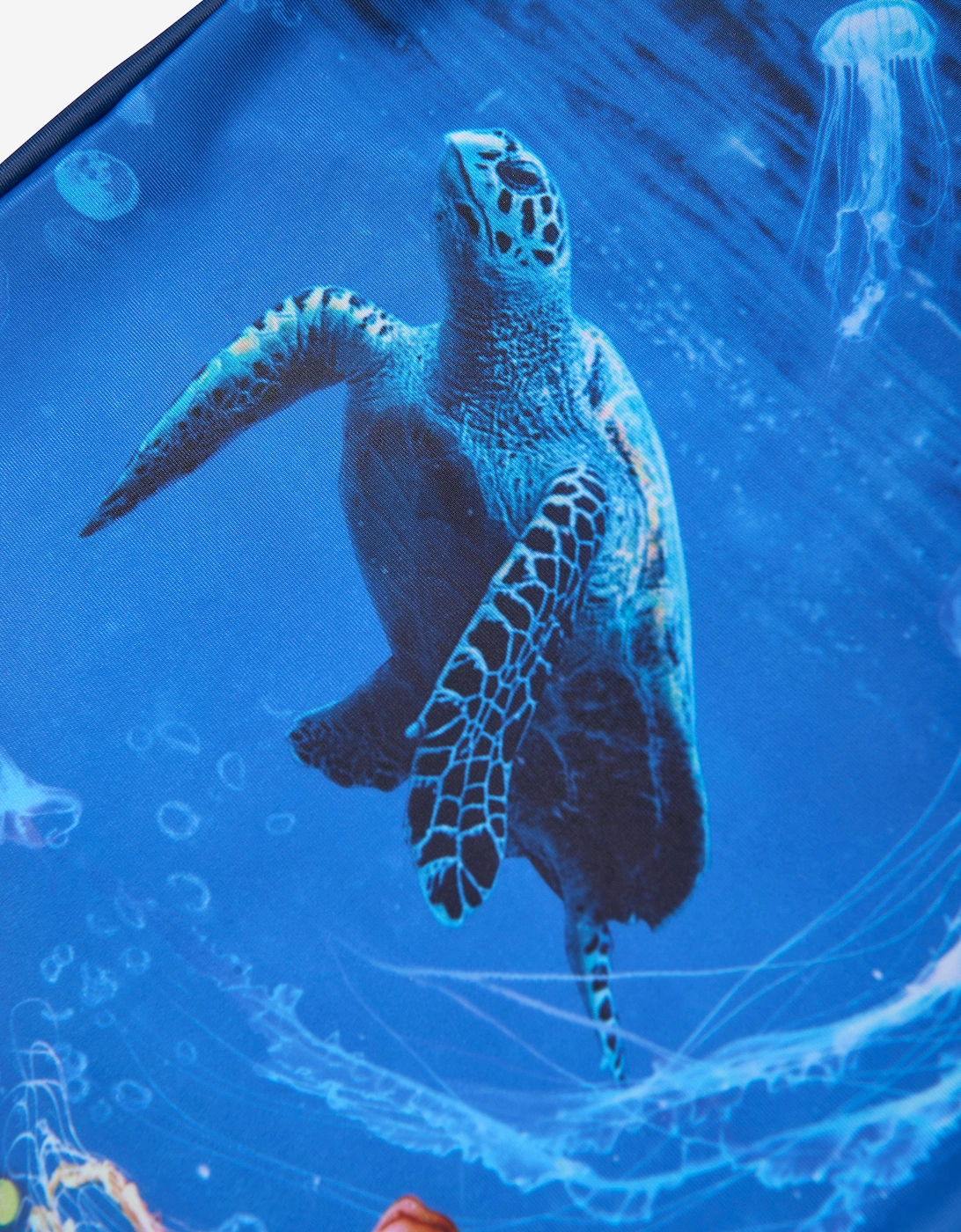 Boys Turtle Rash Guard in Blue (UPF50+)