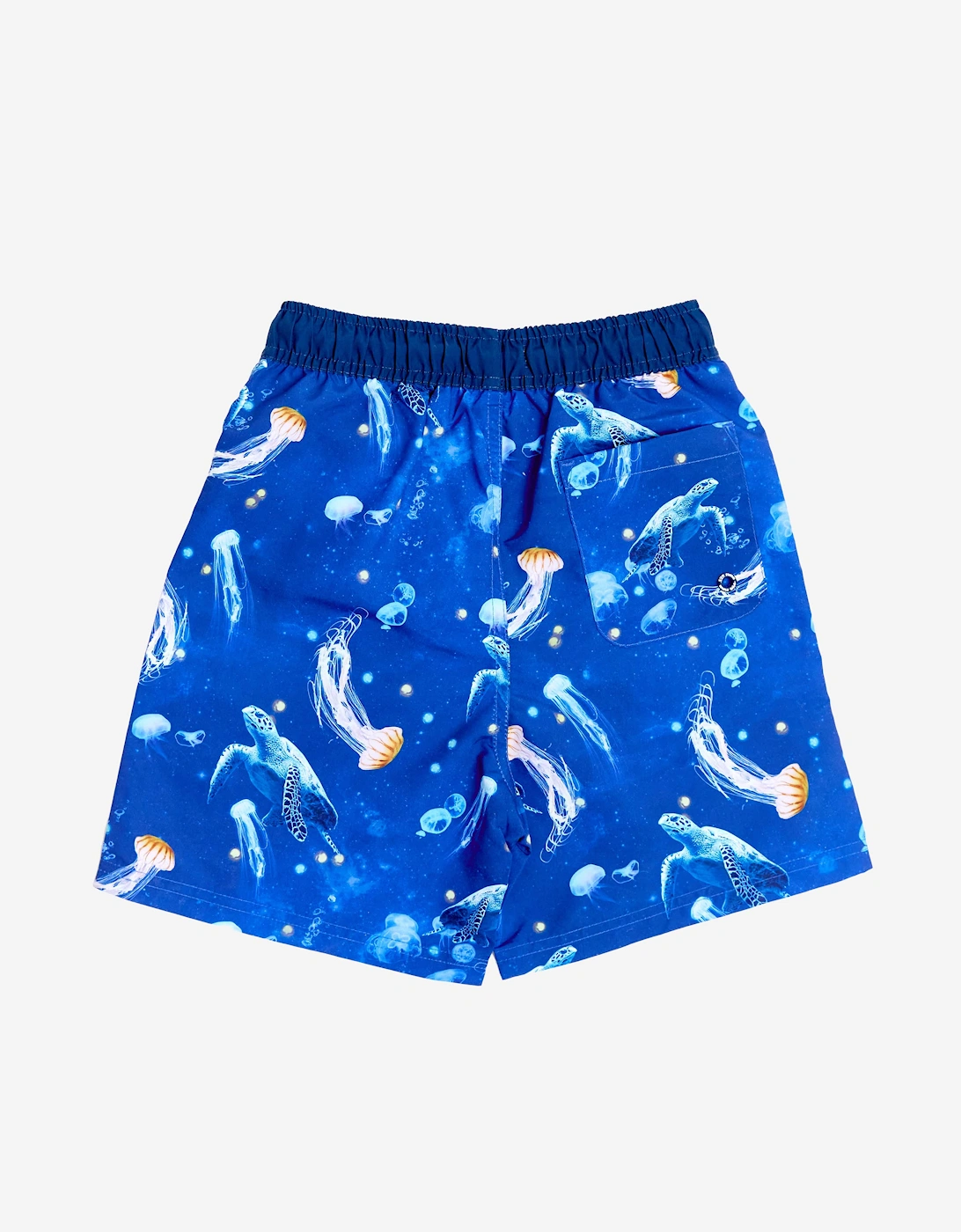 Boys Turtle Beach Shorts in Blue (UPF50+)