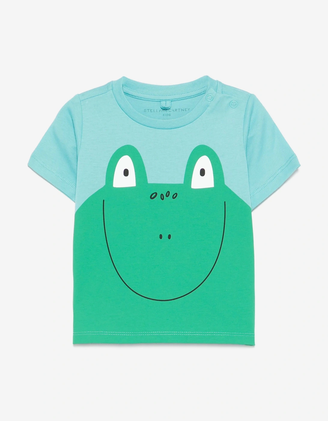 Baby Boys Frog T-Shirt in Green, 5 of 4